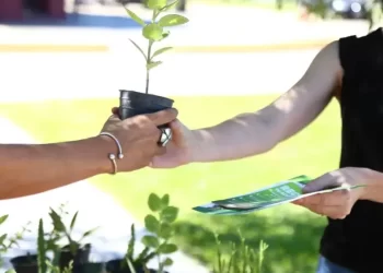 Eco canje en San Miguel de Tucumán: Cronograma y puntos de recolección del 3 al 9 de febrero