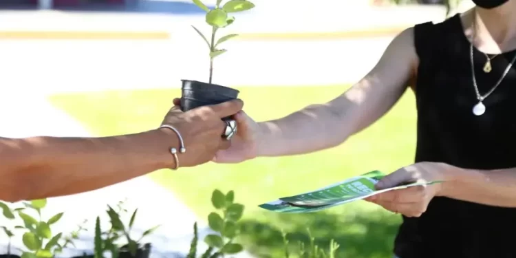 Eco canje en San Miguel de Tucumán: Cronograma y puntos de recolección del 3 al 9 de febrero