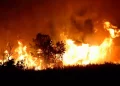 Incendios en la Patagonia: Refuerzan operativo en El Bolsón y se desata un nuevo foco en Bariloche