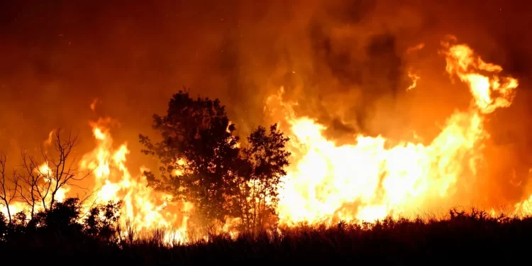 Incendios en la Patagonia: Refuerzan operativo en El Bolsón y se desata un nuevo foco en Bariloche
