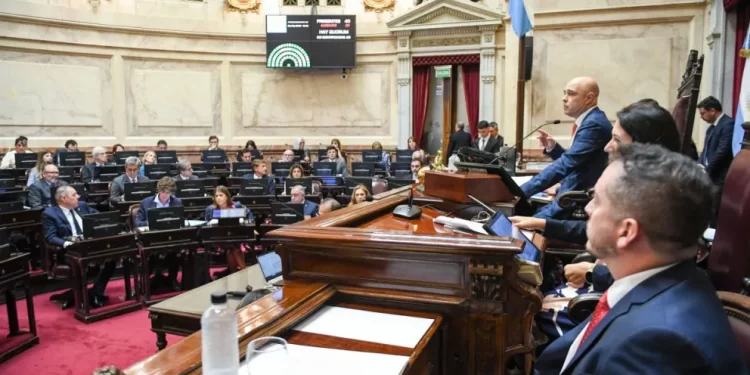 El Senado aprobó la suspensión de las PASO
