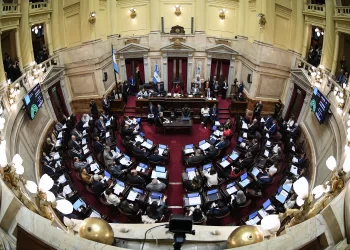 El Senado debate la suspensión de las PASO en medio de la polémica por la criptomoneda Libra