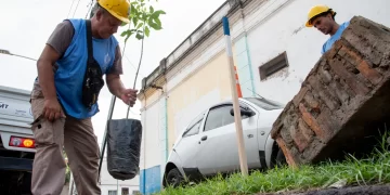 La Municipalidad de San Miguel de Tucumán ejecuta un operativo de poda y plantación de árboles