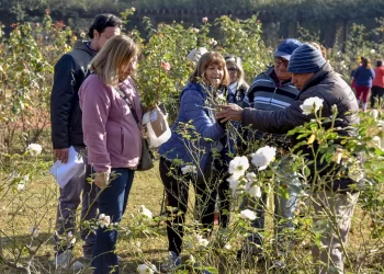 Abren inscripciones para el curso gratuito de Jardinería y Paisajismo en el Parque 9 de Julio