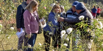 Abren inscripciones para el curso gratuito de Jardinería y Paisajismo en el Parque 9 de Julio