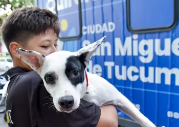 El quirófano veterinario móvil recorrerá barrios de San Miguel de Tucumán con castraciones gratuitas