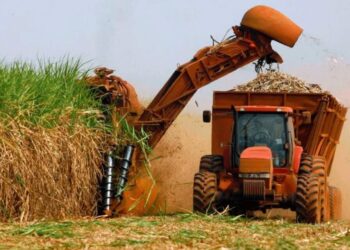 Comenzó la zafra azucarera 2025 en Tucumán: el Ingenio La Florida dio inicio a la molienda