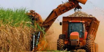 Comenzó la zafra azucarera 2025 en Tucumán: el Ingenio La Florida dio inicio a la molienda