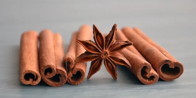La canela, un endulzante natural que gana terreno en infusiones y cuidados de salud