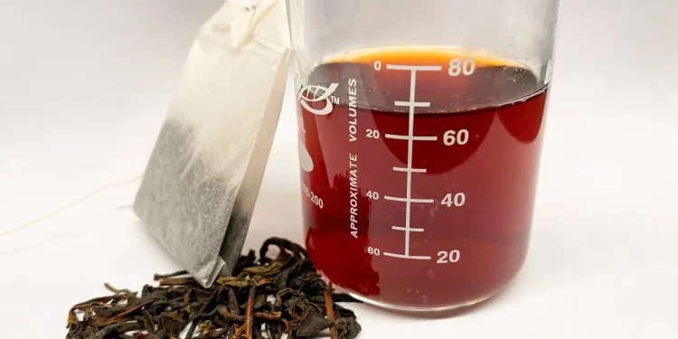 Un estudio revela que el té negro y verde actúan como filtros naturales contra metales pesados