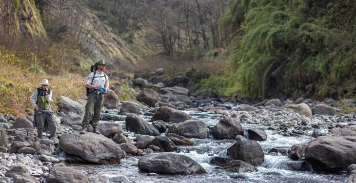 Tucumán vibra este fin de semana con cultura, naturaleza y sabores para todos los gustos
