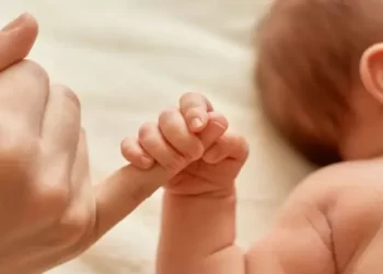 La natalidad cayó 40% en Argentina en menos de una década y más de la mitad de los hogares ya no tiene hijos menores