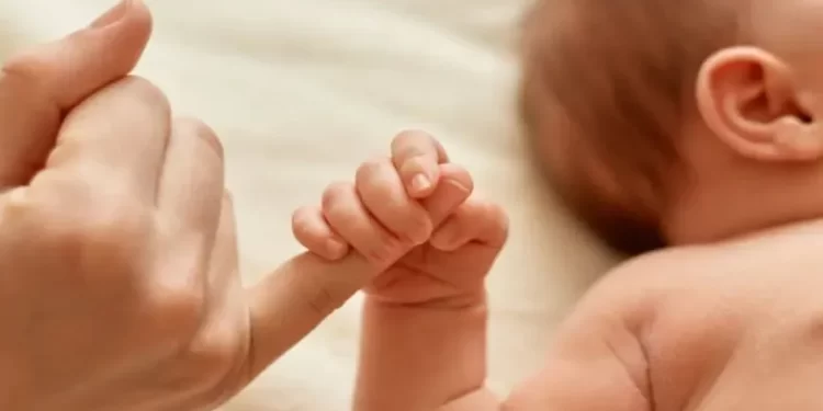 La natalidad cayó 40% en Argentina en menos de una década y más de la mitad de los hogares ya no tiene hijos menores