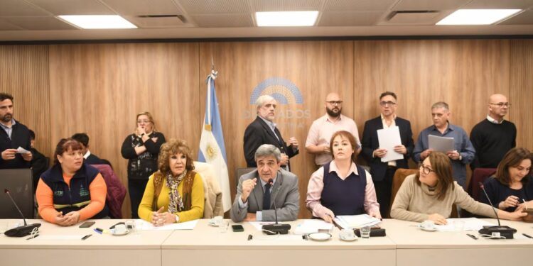 Diputados avanza con proyectos para declarar la emergencia en el Garrahan