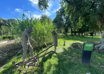 Nueva edición del concurso “Cuentos del Cañaveral”: Tucumán convoca a escritores a celebrar su identidad azucarera