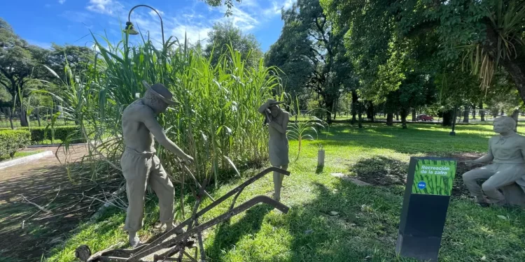 Nueva edición del concurso “Cuentos del Cañaveral”: Tucumán convoca a escritores a celebrar su identidad azucarera