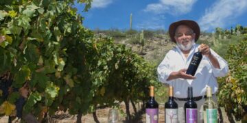 Tucumán despliega su Ruta del Vino de Altura con una propuesta invernal que fusiona cultura, sabores y tradición