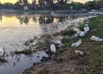 Día del Amigo con secuelas: Toneladas de basura en el Parque 9 de Julio y daños ambientales