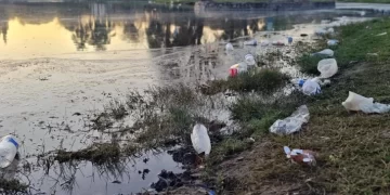 Día del Amigo con secuelas: Toneladas de basura en el Parque 9 de Julio y daños ambientales