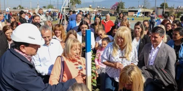 Mega forestación: por el Día del Árbol, plantan más de 1.000 ejemplares en Manantial Sur