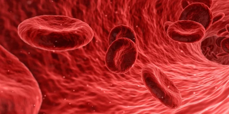 Un avance en IA permite detectar la formación de coágulos sanguíneos peligrosos