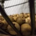 La evolución del bingo a través de los años