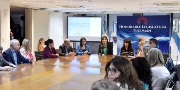 A veinte años de la Ley 26.061, la Legislatura analizó los avances en la protección integral de la niñez