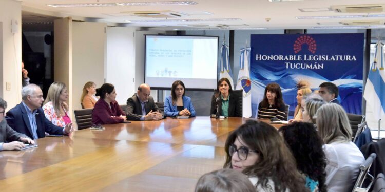 A veinte años de la Ley 26.061, la Legislatura analizó los avances en la protección integral de la niñez