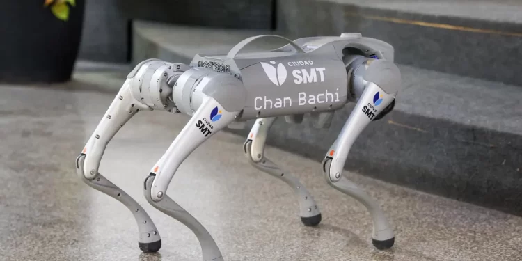 El robot Chan Bachi ya está en funcionamiento como herramienta de apoyo en iniciativas educativas y ensayos tecnológicos