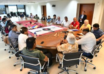 Comunidades aborígenes plantean sus proyectos culturales en una mesa de diálogo con la Legislatura