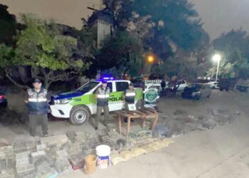 Golpe al tráfico ilegal de fauna silvestre: Rescatan 193 aves silvestres y gallos de riña