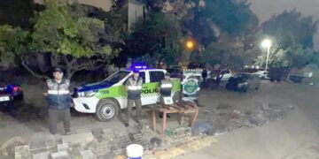 Golpe al tráfico ilegal de fauna silvestre: Rescatan 193 aves silvestres y gallos de riña