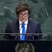 Argentina se alineó con Estados Unidos y votó en contra de la salud mental en la ONU