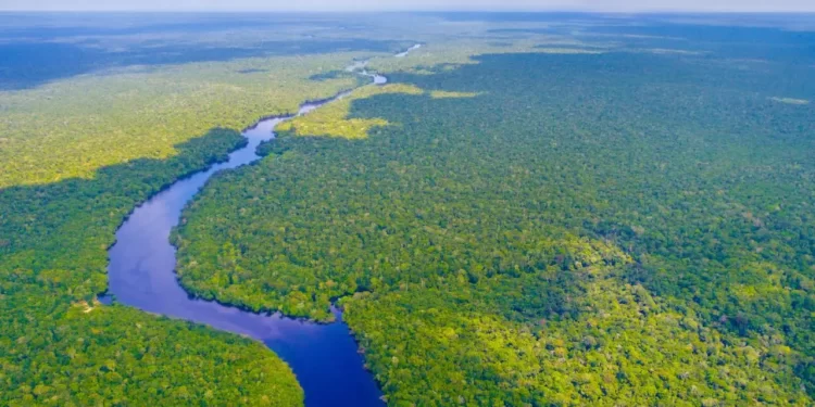 Colombia marca un hito global al blindar toda su Amazonía frente a la gran minería y los hidrocarburos