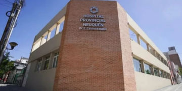 Neuquén confirmó dos casos de gripe H3N2