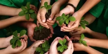Educación ambiental:  la herramienta clave para sostener la vida y cuidar nuestra casa común