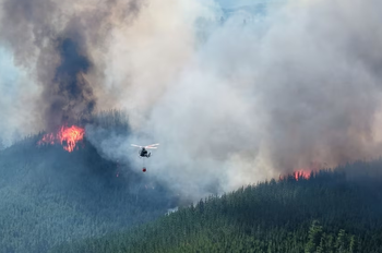 Sigue fuera de control el incendio en Chubut