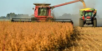 La actividad económica tuvo una suba en diciembre