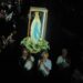 Multitudinaria muestra de fe en los festejos por la Virgen de Lourdes en San Pedro de Colalao