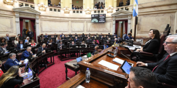 El Senado aprobó en general el Régimen Penal Juvenil