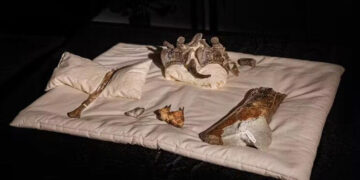 El hallazgo arqueológico del siglo: encontraron un fósil de dinosaurio que obliga a reescribir la historia evolutiva