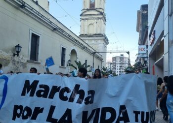 Marcha por la Vida: testimonios y el pedido de derogación de la Ley del Aborto