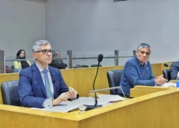 Canelada y Cobos piden informes tras la caída del «Gomero» frente al Cementerio Municipal