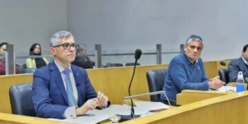 Canelada y Cobos piden informes tras la caída del «Gomero» frente al Cementerio Municipal