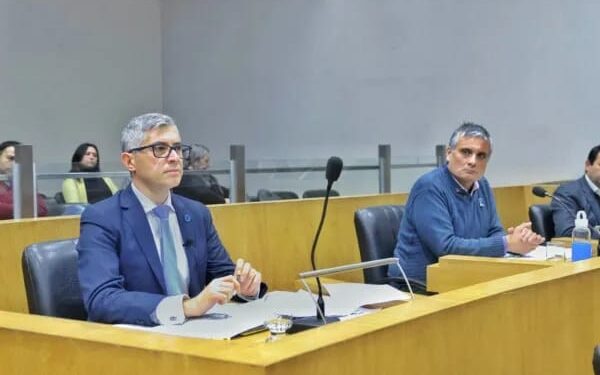 Canelada y Cobos piden informes tras la caída del «Gomero» frente al Cementerio Municipal
