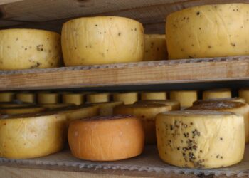 El queso de Tafí del Valle obtuvo la Indicación Geográfica: emblema turístico e identidad tucumana