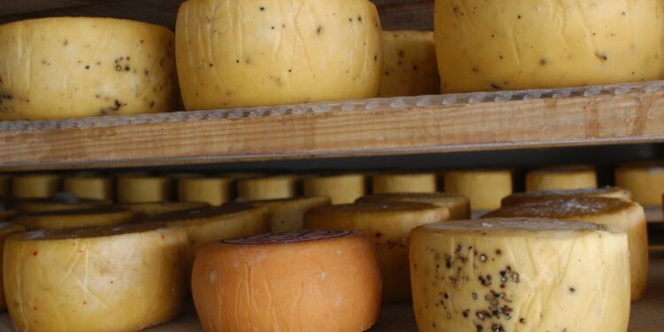 El queso de Tafí del Valle obtuvo la Indicación Geográfica: emblema turístico e identidad tucumana