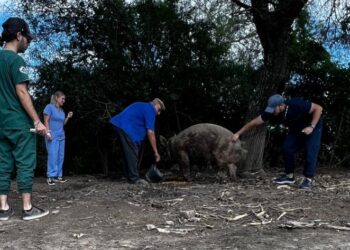 Ganadería lleva adelante un relevamiento en zonas rurales afectadas por las lluvias