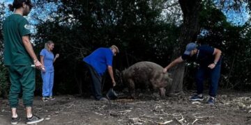 Ganadería lleva adelante un relevamiento en zonas rurales afectadas por las lluvias