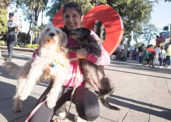 Vecinos y sus animales de compañía compartieron una tarde especial en la Plaza Independencia
